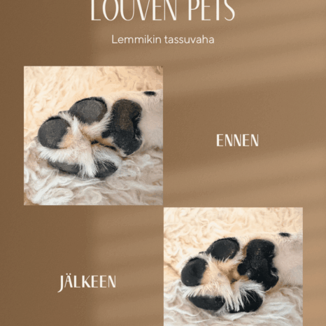 Louven Pets Paw Wax 50ml - Image 3